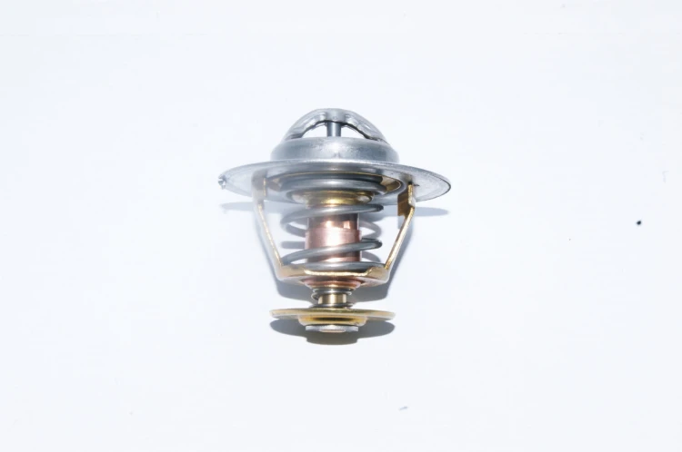 TERMOSTAT NISSAN