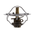 TERMOSTAT GM 3.0 L